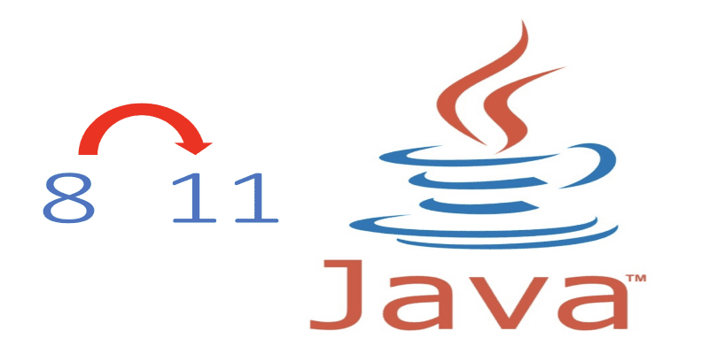 Java 8 and 11