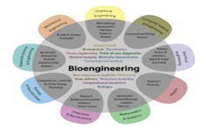 Bio Engineering Sciences and Technology