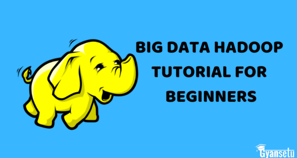 Big data hadoop tutorial for beginners 810x430 1