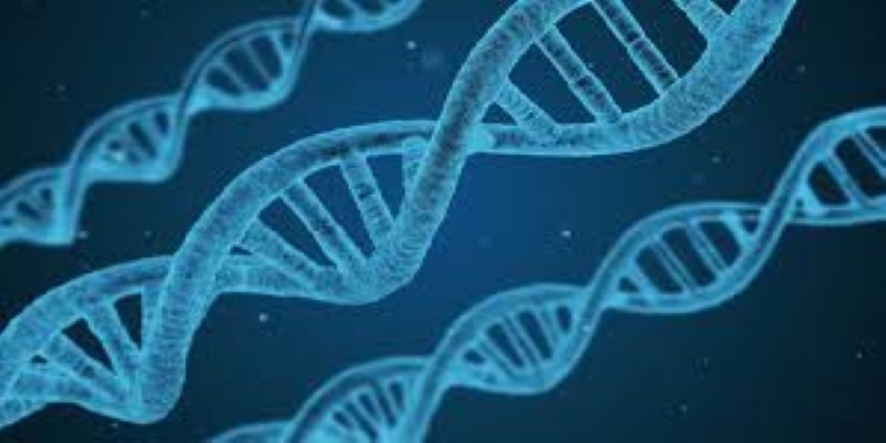 Genetic Engineering: Theory and Application