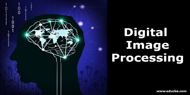 Digital Image Processing the complete guide in 2020